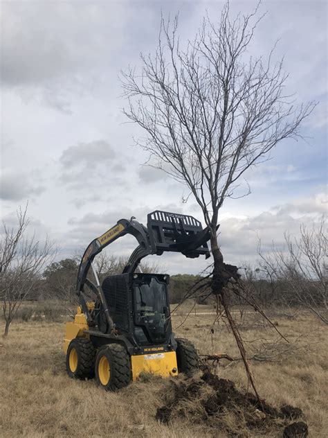 skid steer for misquite removal|AMFG Mesquiter XL Grubber .